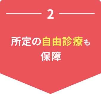 2 所定の自由診療も保障