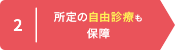 2 所定の自由診療も保障