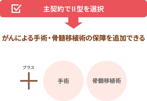 主契約でⅡ型を選択⇒＋手術、骨髄移植術（がんによる手術・骨髄移植術の保障を追加できる）