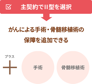 主契約でⅡ型を選択⇒＋手術、骨髄移植術（がんによる手術・骨髄移植術の保障を追加できる）