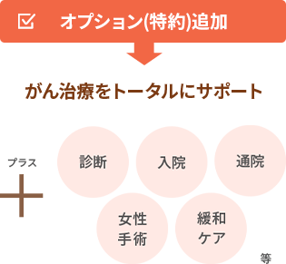 オプション(特約)追加⇒がん治療をトータルにサポート(+診断、入院、通院、女性手術、緩和ケア等)