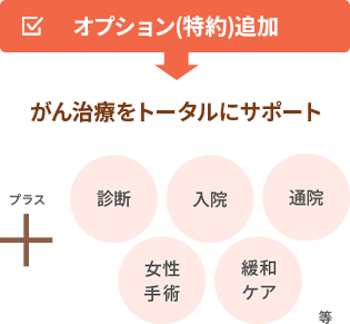 オプション(特約)追加⇒がん治療をトータルにサポート(＋診断、入院、通院、女性手術、緩和ケア等)