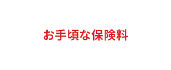 お手頃な保険料