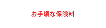 お手頃な保険料