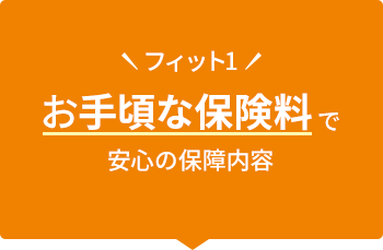 フィット1 お手頃な保険料で安心の保障内容