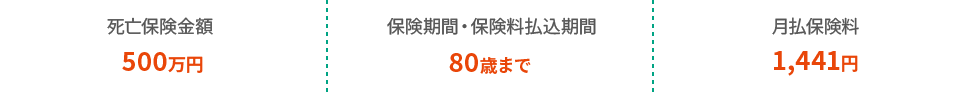 死亡保険金額500万円 保険期間・保険料払込期間80歳まで 月払保険料1,441円