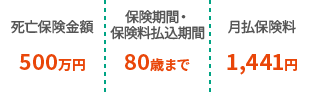 死亡保険金額500万円 保険期間・保険料払込期間80歳まで 月払保険料1,441円