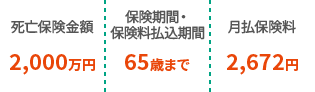 死亡保険金額2,000万円 保険期間・保険料払込期間65歳まで 月払保険料2,672円