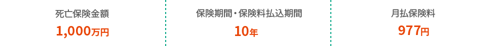 死亡保険金額1,000万円 保険期間・保険料払込期間10年 月払保険料977円