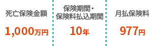 死亡保険金額1,000万円 保険期間・保険料払込期間10年 月払保険料977円