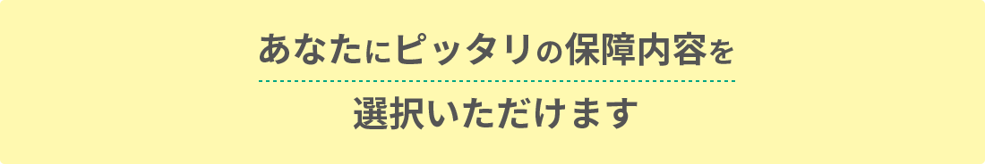 あなたにピッタリの保障内容を選択いただけます