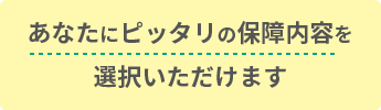 あなたにピッタリの保障内容を選択いただけます