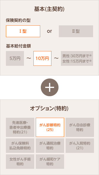 保障を絞り、保険料をお手頃に抑えたプラン(がんライトプラン(23)) 保険期間 終身 保険契約の型 Ⅰ型 基本給付金額 10万円 がん診断特約(23) (1年型) 1回につき50万円 がん保険料払込免除特約 付加。