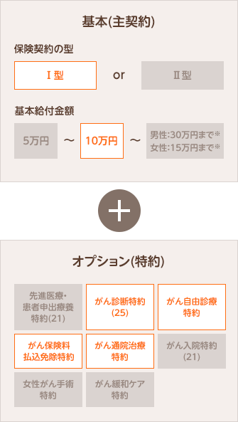 がんライトプランより保障を手厚くしたプラン(がんスマートプラン(23)) 保険期間 終身 保険契約の型 Ⅰ型 基本給付金額 10万円 がん診断特約(23) (1年型) 1回につき50万円 がん保険料払込免除特約 付加 がん通院治療特約 1日につき1万円