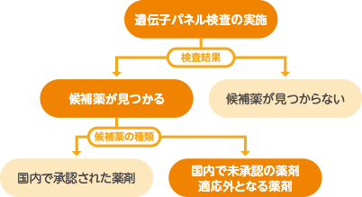 遺伝子パネル検査の実施→検査結果:候補薬が見つからない・候補薬が見つかる→候補薬の種類→国内で承認された薬剤・国内で未承認の薬剤適応外となる薬剤