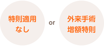 特則適用なしor特則適用あり
