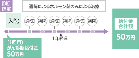 お支払例 初めてがんと診断確定されたときから1年後の応当日以後に、通院でホルモン剤のみによる治療を受けられたとき