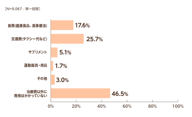 【N=9,067／単一回答】食費(健康食品、食事療法):17.6%,交通費(タクシー代など):25.7%,サプリメント:5.1%,運動器具・用品:1.7%,その他:3.0%,治療費以外に費用はかかっていない:46.5%