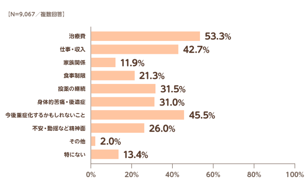 【N=9,067／複数回答】治療費:53.3%,仕事・収入:42.7%,家族関係:11.9%,食事制限:21.3%,投薬の継続:31.5%,身体的苦痛・後遺症:31.0%,今後重症化するかもしてないこと:45.5%,不安・動揺など精神面:26.0%,その他:2.0%,特にない:13.4%